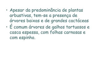 Apesar da predominância de plantas arbustivas, tem-se a presença de árvores baixas e de grandes cactáceas É comum árvores de galhos tortuosos e casca espessa, com folhas carnosas e com espinho. 