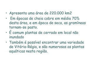 Apresenta uma área de 220.000 km2 Em épocas de cheia cobre em média 70% desta área, e em época de seca, as gramíneas tornam-se pasto.  É comum plantas de cerrado em local não inundado Também é possível encontrar uma variedade de Vitória-Régia, e são numerosas as plantas aquáticas nesta região. 