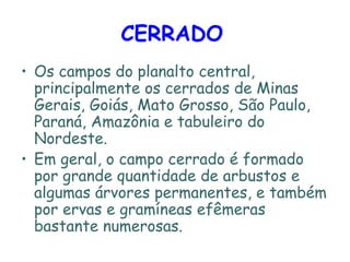 CERRADO   Os campos do planalto central, principalmente os cerrados de Minas Gerais, Goiás, Mato Grosso, São Paulo, Paraná, Amazônia e tabuleiro do Nordeste. Em geral, o campo cerrado é formado por grande quantidade de arbustos e algumas árvores permanentes, e também por ervas e gramíneas efêmeras bastante numerosas.  