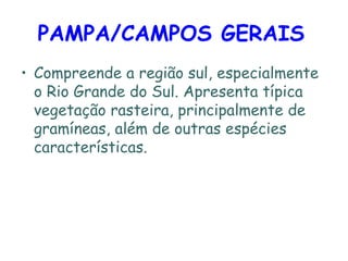 PAMPA/CAMPOS GERAIS   Compreende a região sul, especialmente o Rio Grande do Sul. Apresenta típica vegetação rasteira, principalmente de gramíneas, além de outras espécies características. 