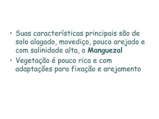 Suas características principais são de solo alagado, movediço, pouco arejado e com salinidade alta, o  Manguezal Vegetação é pouco rica e com adaptações para fixação e arejamento 