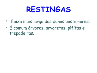 RESTINGAS Faixa mais larga das dunas posteriores; É comum árvores, arvoretas, pífitas e trepadeiras. 