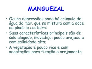 MANGUEZAL Ocupa depressões onde há acúmulo de água do mar, que se mistura com a doce da planície costeira; Suas características principais são de solo alagado, movediço, pouco arejado e com salinidade alta; A vegetação é pouco rica e com adaptações para fixação e arejamento. 