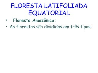 FLORESTA LATIFOLIADA EQUATORIAL Floresta Amazônica:  As florestas são divididas em três tipos : 