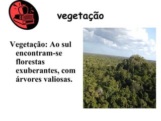 vegetação

Vegetação: Ao sul
 encontram-se
 florestas
 exuberantes, com
 árvores valiosas.
 