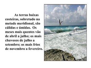 As terras baixas
costeiras, sobretudo na
metade meridional, são
cálidas e úmidas. Os
meses mais quentes vão
de abril a julho; os mais
chuvosos de julho a
setembro; os mais frios
de novembro a fevereiro.
 