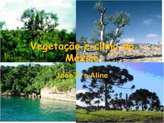 Vegetação e clima do
      México
    João P. e Aline
 