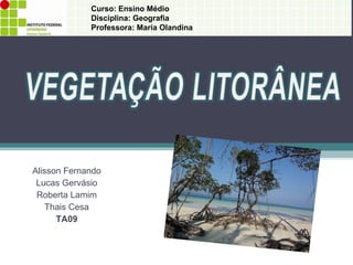 Alisson Fernando Lucas Gervásio Roberta Lamim Thais Cesa TA09 Curso: Ensino Médio  Disciplina: Geografia Professora: Maria Olandina 