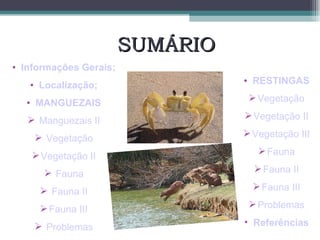 SUMÁRIO Informações Gerais; Localização; MANGUEZAIS   Manguezais II Vegetação Vegetação II Fauna Fauna II Fauna III  Problemas RESTINGAS Vegetação Vegetação II Vegetação III Fauna Fauna II Fauna III Problemas Referências 