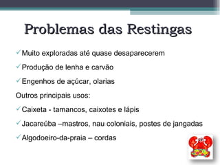 Muito exploradas até quase desaparecerem Produção de lenha e carvão Engenhos de açúcar, olarias Outros principais usos: Caixeta - tamancos, caixotes e lápis Jacareúba –mastros, nau coloniais, postes de jangadas Algodoeiro-da-praia – cordas Problemas das Restingas  