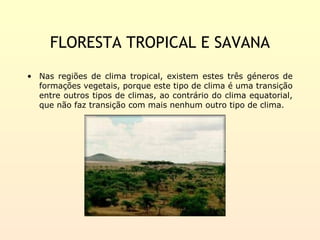 FLORESTA TROPICAL E SAVANA
• Nas regiões de clima tropical, existem estes três géneros de
  formações vegetais, porque este tipo de clima é uma transição
  entre outros tipos de climas, ao contrário do clima equatorial,
  que não faz transição com mais nenhum outro tipo de clima.
 
