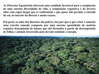 As Florestas Equatoriais oferecem uma condição favorável para o surgimento
de uma enorme diversidade de vida, a composição vegetativa é de árvores
altas com copas largas que se confrontam e que quase não permite a entrada
do sol, no interior da floresta é muito escuro.

Em geral, os solos das florestas são pobres, isso por que o que existe é somente
uma estreita camada composta por uma enorme quantidade de matéria
orgânica denominada de húmus que são formados a partir da decomposição
de folhas e animais favorecida pela elevada umidade e energia.
 