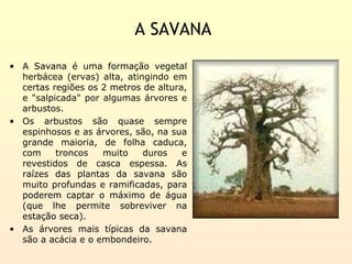 A SAVANA
• A Savana é uma formação vegetal
  herbácea (ervas) alta, atingindo em
  certas regiões os 2 metros de altura,
  e "salpicada" por algumas árvores e
  arbustos.
• Os arbustos são quase sempre
  espinhosos e as árvores, são, na sua
  grande maioria, de folha caduca,
  com     troncos   muito    duros    e
  revestidos de casca espessa. As
  raízes das plantas da savana são
  muito profundas e ramificadas, para
  poderem captar o máximo de água
  (que lhe permite sobreviver na
  estação seca).
• As árvores mais típicas da savana
  são a acácia e o embondeiro.
 