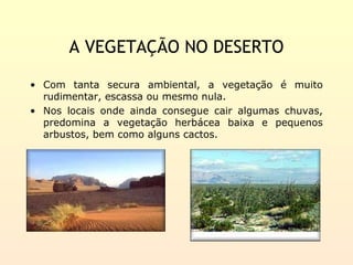 A VEGETAÇÃO NO DESERTO

• Com tanta secura ambiental, a vegetação é muito
  rudimentar, escassa ou mesmo nula.
• Nos locais onde ainda consegue cair algumas chuvas,
  predomina a vegetação herbácea baixa e pequenos
  arbustos, bem como alguns cactos.
 