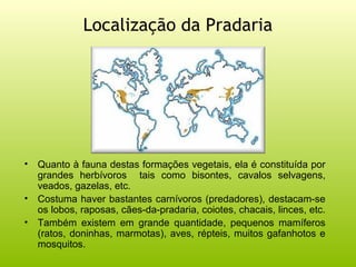 Localização da Pradaria




•   Quanto à fauna destas formações vegetais, ela é constituída por
    grandes herbívoros tais como bisontes, cavalos selvagens,
    veados, gazelas, etc.
•   Costuma haver bastantes carnívoros (predadores), destacam-se
    os lobos, raposas, cães-da-pradaria, coiotes, chacais, linces, etc.
•   Também existem em grande quantidade, pequenos mamíferos
    (ratos, doninhas, marmotas), aves, répteis, muitos gafanhotos e
    mosquitos.
 