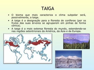 TAIGA
• O bioma que mais caracteriza o clima subpolar será,
  possivelmente, a taiga.
• A taiga é a designação para a floresta de coníferas (por os
  frutos das suas árvores se agruparem em pinhas de forma
  cónica).
• A taiga é a mais extensa floresta do mundo, estendendo-se
  nas regiões setentrionais da América, da Ásia e da Europa.
 