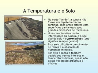 A Temperatura e o Solo
        • No curto "Verão", a tundra não
          forma um tapete herbáceo
          contínuo, mas antes alterna com
          superfícies pantanosas e/ou
          grandes extensões de rocha nua.
        • Uma característica muito
          interessante da tundra, é o seu
          tipo de solo - o permafrost (que
          significa sempre gelado).
        • Este solo dificulta o crescimento
          de raízes e a absorção de
          nutrientes minerais.
        • Por esta e razão e também
          devido aos ventos intensos e
          temperaturas baixas, quase não
          existe vegetação arbustiva e
          arbórea.
 
