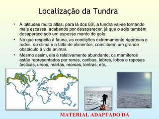 Localização da Tundra
•   A latitudes muito altas, para lá dos 800, a tundra vai-se tornando
    mais escassa, acabando por desaparecer, já que o solo também
    desaparece sob um espesso manto de gelo.
•   No que respeita à fauna, as condições extremamente rigorosas e
    rudes do clima e a falta de alimentos, constituem um grande
    obstáculo à vida animal.
•   Mesmo assim, ela é relativamente abundante; os mamíferos
    estão representados por renas, caribus, lebres, lobos e raposas
    árcticas, ursos, martas, morsas, lontras, etc...




                        MATERIAL ADAPTADO DA
 