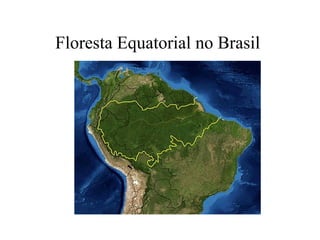 Floresta Equatorial no Brasil
 