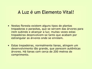 A Luz é um Elemento Vital!

• Nestas floresta existem alguns tipos de plantas
  trepadoras e parasitas, que se servem das árvores para
  irem subindo e alcançar a luz; muitas vezes estas
  trepadeiras desenvolvem-se tanto que acabam por
  estrangular as árvores onde se enrolam.

• Estas trepadeiras, normalmente lianas, atingem um
  desenvolvimento tão grande, que parecem autênticas
  árvores. Há lianas com cerca de 200 metros de
  comprimento.
 