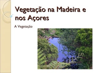 Vegetação na Madeira e nos Açores  A Vegetação 