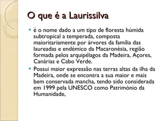 O que é a Laurissilva  é o nome dado a um tipo de floresta húmida subtropical a temperada, composta maioritariamente por árvores da família das laureadas e endémico da Macaronésia, região formada pelos arquipélagos da Madeira, Açores, Canárias e Cabo Verde.  Possui maior expressão nas terras altas da ilha da Madeira, onde se encontra a sua maior e mais bem conservada mancha, tendo sido considerada em 1999 pela UNESCO como Património da Humanidade, 