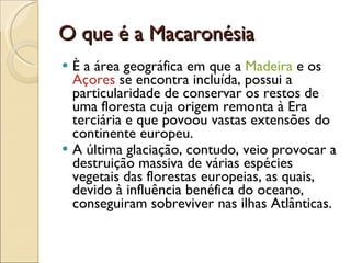 O que é a Macaronésia È a área geográfica em que a  Madeira  e os  Açores  se encontra incluída, possui a particularidade de conservar os restos de uma floresta cuja origem remonta à Era terciária e que povoou vastas extensões do continente europeu.  A última glaciação, contudo, veio provocar a destruição massiva de várias espécies vegetais das florestas europeias, as quais, devido à influência benéfica do oceano, conseguiram sobreviver nas ilhas Atlânticas.  