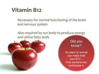 Vitamin B12
  Necessary for normal functioning of the brain
  and nervous system

  Also required by our body to produce energy
  and utilize fatty acids
                                    Did you
                                    know?
                                 No plant or animal
                                  can make their
                                    own B12 –
                                 Only bacteria can
                                   synthesize it.
 