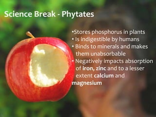 Science Break - Phytates
                  •Stores phosphorus in plants
                  • Is indigestible by humans
                  • Binds to minerals and makes
                    them unabsorbable
                  • Negatively impacts absorption
                    of iron, zinc and to a lesser
                    extent calcium and
                  magnesium
 
