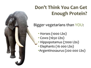 Don’t Think You Can Get
       Enough Protein?

Bigger vegetarians than YOU:

  • Horses (1000 Lbs)
  • Cows (1650 Lbs)
  • Hippopotamus (7000 Lbs)
  • Elephants (16 000 Lbs)
  •Argentinosaurus (200 000 Lbs)
 