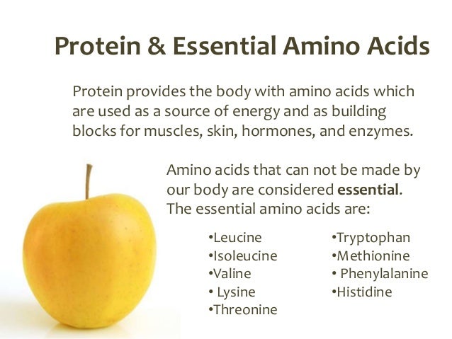 What Foods Are High In Leucine What Foods Are High In Leucine