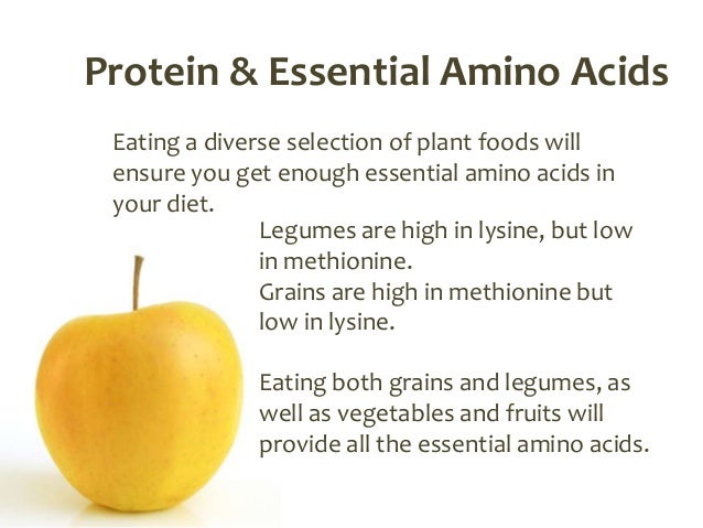 Which Foods Are High In Lysine And Low In Tryptophan Which Foods Are High In Lysine And Low In Tryptophan