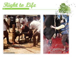 Right to Life
Right
 