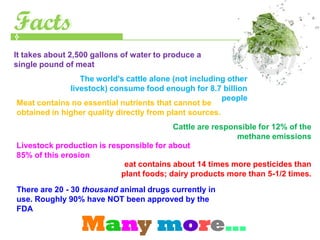 Facts
Facts
It takes about 2,500 gallons of water to produce a
single pound of meat
                 The world's cattle alone (not including other
              livestock) consume food enough for 8.7 billion
                                                        people
Meat contains no essential nutrients that cannot be
obtained in higher quality directly from plant sources.
                                         Cattle are responsible for 12% of the
                                                          methane emissions
Livestock production is responsible for about
85% of this erosion
                            eat contains about 14 times more pesticides than
                           plant foods; dairy products more than 5-1/2 times.
There are 20 - 30 thousand animal drugs currently in
use. Roughly 90% have NOT been approved by the
FDA

                  Many more…
 