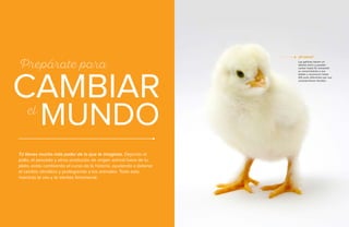 4 • Guía Vegetariana
Prepárate para
CAMBIAR
MUNDO
Tú tienes mucho más poder de lo que te imaginas. Dejando el
pollo, el pescado y otros productos de origen animal fuera de tu
plato, estás cambiando el curso de la historia, ayudando a detener
el cambio climático y protegiendo a los animales. Todo esto
mientras te ves y te sientes fenomenal.
el
Las gallinas tienen un
idioma único y pueden
contar hasta 10, transmitir
su conocimiento a sus
bebés y reconocer hasta
100 aves diferentes por sus
características faciales.
¿Sí sabías?
 