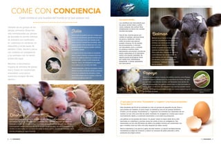 6 • Guía Vegetariana Guía Vegetariana • 7
Cada comida es una muestra del mundo en el que quieres vivir.
Olvídate de las granjas de los
dibujos animados. Éstas han
sido reemplazadas por granjas
de pesadilla en donde millones
de animales son confinados
en cobertizos sin ventanas, en
pequeñas y sucias jaulas de
alambre. Colas, dientes y picos
son cortados sin analgésicos
y los animales casi no tienen
protección legal.
Mientras la abrumadora
mayoría de animales de granja
vive y muere en condiciones
miserables, unos pocos
suertudos escapan de este
destino...
come CON conciencia
¿Y qué pasa con la carne “humanitaria” u “orgánica” y los huevos producidos
“al aire libre”?
Sólo alrededor del 1% de los animales se crían en granjas de pequeña escala. Pese a
que pueden ser tratados un poco mejor, la realidad es que en las granjas familiares
locales y en las granjas “humanitarias” u “orgánicas” los animales son separados de sus
madres con tan sólo unos días de edad, mutilados sin analgésicos, criados para crecer
anormalmente rápido y cruelmente asesinados a una edad muy temprana.
Las gallinas en las granjas de huevos “sin jaulas” pasan la mayor parte de su vida
hacinadas en cobertizos y muchas veces les cortan el pico sin analgésicos. Son
asesinadas con tan sólo 18 meses de edad y los pollitos machos son asesinados con
gas o molidos vivos tan sólo unos días después de haber nacido.
Nunca trataríamos a los perros o gatos de esta manera. La opción verdaderamente
humanitaria es dejar de consumir o reducir el consumo de pollo, pescado y otros
productos de origen animal.
Julia
Como Julia, las gallinas que son criadas para
carne son manipuladas genéticamente para
crecer tanto que al mes de nacidas ya les
duele caminar. Cuando fue rescatada, Julia
seguía piando como la bebé que era y sus
pequeñas piernas apenas podían sostener
su enorme cuerpo.
La mayoría de las aves están en constante
dolor y pasan el tiempo echadas sobre sus
heces. Las gallinas enfermas o heridas son
abandonadas a sufrir y morir lentamente.
Algunas veces, los trabajadores les pegan
en la cabeza con una barra de metal.
Afortunadamente, Julia fue rescatada y ahora
disfruta sus días comiendo sandía y tomando
el sol en un santuario de animales, a salvo
del terrible destino que le espera a miles de
millones de gallinas cada año.
Las gallinas usadas para carne son criadas
para crecer tan rápido que con frecuencia
sufren ataques al corazón y deformidades
paralizantes en las piernas.
En las granjas industriales, las cerdas
gestantes son mantenidas en jaulas donde
casi no pueden moverse.
Dasher
Dasher tuvo la suerte de nacer en un santuario de animales, pero los lechones como él
son tratados sin piedad en las granjas industriales. Poco después de nacer les cortan los
testículos y la cola sin anestesia. Y son hacinados en sucios corrales de concreto, donde
nunca pueden disfrutar de la luz del sol. A los seis meses de edad son electrocutados o su
cerebro es atravesado con una barra de metal. Si tienen suerte, morirán de inmediato. Si no,
morirán ahogados en agua hirviendo.
Batman
Batman es un becerro muy amigable
que fue rescatado de una granja
lechera. Las vacas pueden recordar
una cara por años y con frecuencia
tienen un grupo de amigos con
quienes prefieren pasar el rato.
Pero cada año, millones de terneros
como Batman son arrebatados de
sus madres con tan sólo unos días
de nacidos y son asesinados por
considerse “residuos” de la industria
de los lácteos.
Popeye	
Como no pueden poner huevos, los pollitos machos como Popeye
no tienen ninguna utilidad para los productores de huevo. Así que
con tan sólo unos días de nacidos, son lanzados vivos dentro de
trituradoras gigantes. Las gallinas pasan toda su vida hacinadas en
sucias jaulas de alambre, tan pequeñas que apenas pueden darse
la vuelta. Cada gallina pasa toda su vida con menos espacio que el
de una hoja de papel.
Si Popeye no hubiese sido rescatado,
lo habrían tirado a la trituradora
gigante.
Los peces sienten
Los científicos han descubierto que
los peces sienten dolor y sufren
como cualquier otro animal. Ellos
simplemente no tienen las cuerdas
vocales para gritar.
Hoy en día, muchos peces son
criados en granjas -piscinas llenas
de peces y desechos- donde
están tan juntos que apenas
pueden moverse. En las plantas
de procesamiento, a menudo
son desollados vivos y cortados
en pedazos mientras están
plenamente conscientes. Incluso los
peces capturados en la naturaleza
sufren una muerte miserable. Su
agonía puede prolongarse hasta
por media hora, asfixiándose
lentamente o siendo aplastados
por otros peces.
FOTO: Tamara Kenneally
FOTO: Edgars Mission Farm Sanctuary
FOTO: Freedom Hill Farm Sanctuary
FOTO: Tamara Kenneally
 