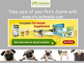 Take care of your Pet’s Joints with www.otcvetmeds.com 