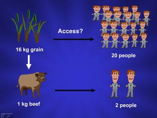 16 kg grain 20 people Access? 1 kg beef 2 people 