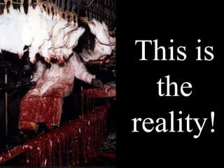 This is the reality! 