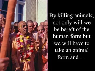 By killing animals, not only will we be bereft of the human form but we will have to take an animal form and … 