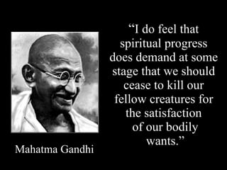 “ I do feel that spiritual progress does demand at some stage that we should cease to kill our fellow creatures for the satisfaction  of our bodily  wants.” Mahatma Gandhi 