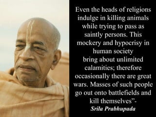 Even the heads of religions indulge in killing animals while trying to pass as saintly persons. This mockery and hypocrisy in human society bring about unlimited calamities; therefore occasionally there are great wars. Masses of such people go out onto battlefields and kill themselves” - Srila Prabhupada 