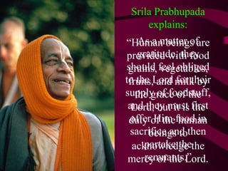 “ Human beings are provided with food grains, vegetables, fruits, and milk by the grace of the Lord, but it is the duty of the human beings to acknowledge the mercy of the Lord. Srila Prabhupada explains: As a matter of gratitude, they should feel obliged to the Lord for their supply of foodstuff, and they must first offer Him food in sacrifice and then partake the remnants.” 
