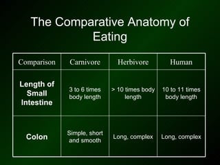 The Comparative Anatomy of
            Eating
Comparison   Carnivore         Herbivore         Human

Length of
             3 to 6 times    > 10 times body   10 to 11 times
  Small      body length          length        body length
Intestine


             Simple, short
  Colon      and smooth
                             Long, complex     Long, complex
 