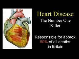 Heart Disease
  The Number One
       Killer

Responsible for approx.
  50% of all deaths
      in Britain
 