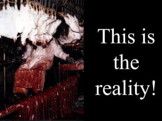 This is
  the
reality!
 