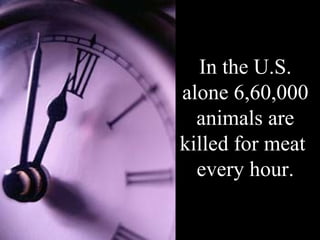 In the U.S.
alone 6,60,000
  animals are
killed for meat
  every hour.
 