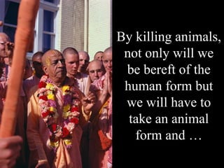 By killing animals,
 not only will we
 be bereft of the
 human form but
 we will have to
  take an animal
   form and …
 