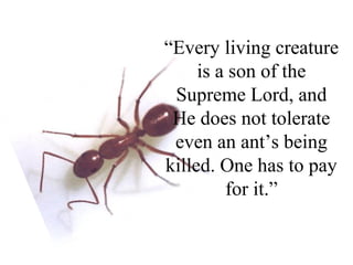 “Every living creature
     is a son of the
 Supreme Lord, and
 He does not tolerate
 even an ant’s being
killed. One has to pay
         for it.”
 