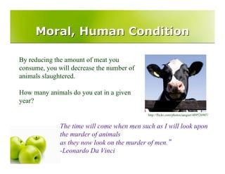 Vegetarianism Presentation